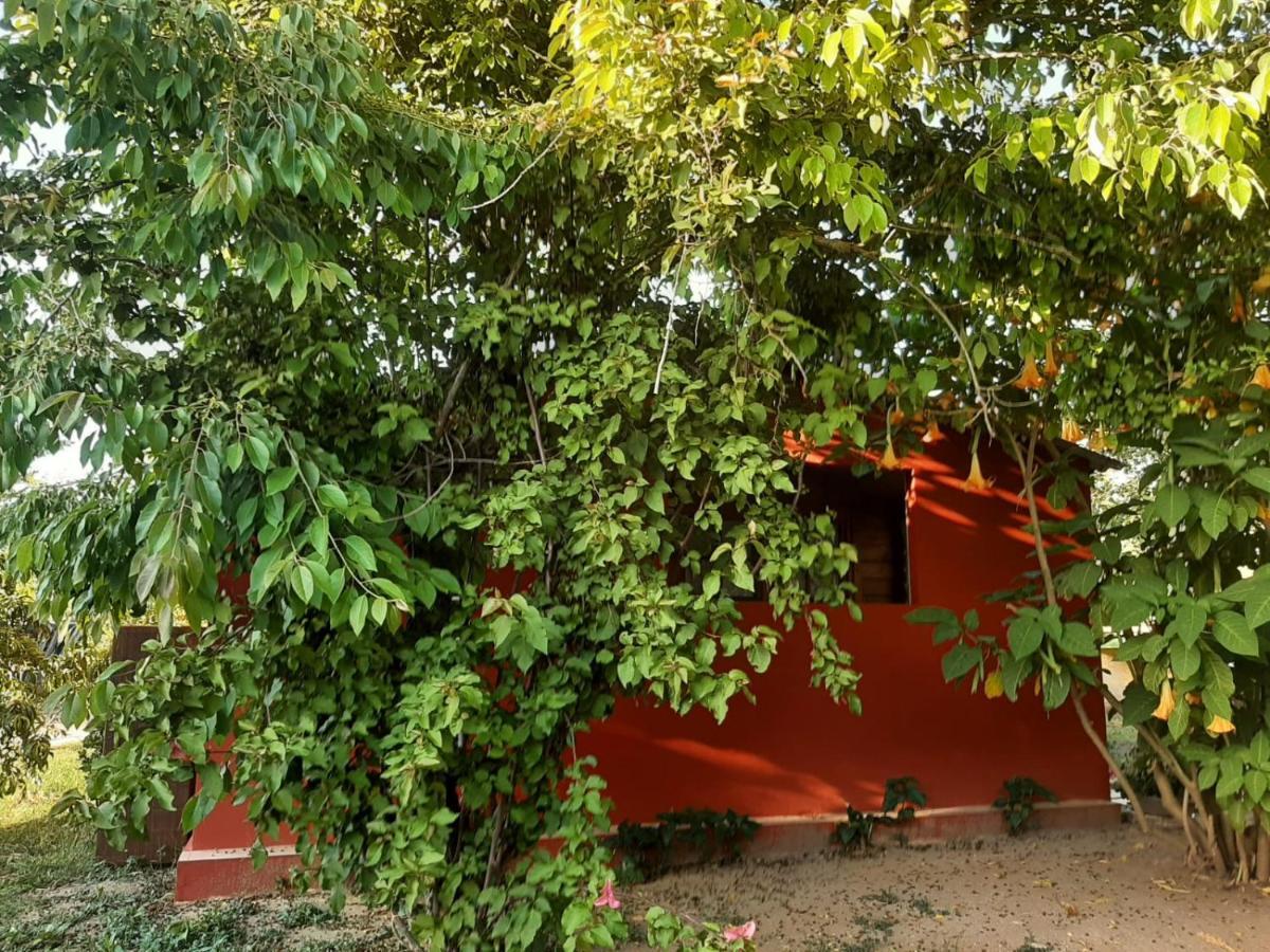 Casa Di Campagna Dal Pozzo Sorso Luaran gambar
