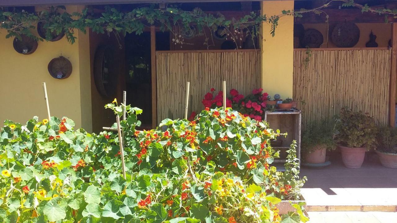 Casa Di Campagna Dal Pozzo Sorso Luaran gambar